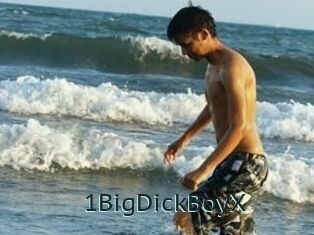 1BigDickBoyX