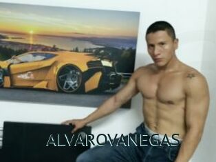 ALVAROVANEGAS