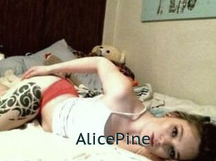 AlicePine