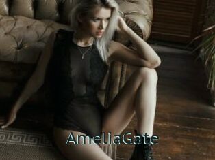 AmeliaGate