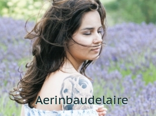 Aerinbaudelaire