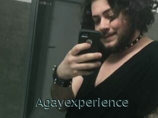 Agayexperience