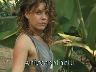 Aniccaspinelli