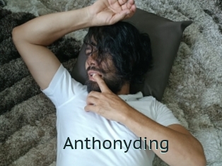 Anthonyding