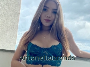 Antonellabrands
