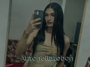 Antonellatobon