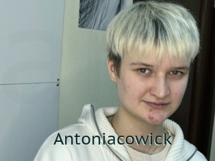 Antoniacowick