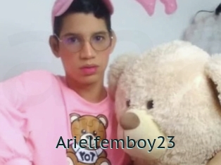 Arielfemboy23