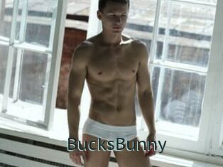 BucksBunny