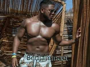 benjamincol Anal X