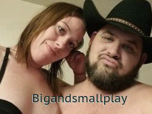 Bigandsmallplay