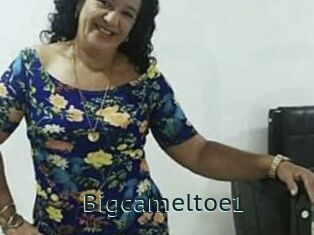 Bigcameltoe1