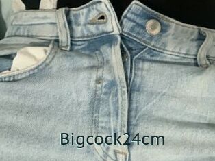 Bigcock24cm