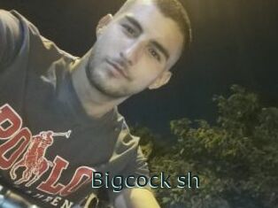 Bigcock_sh