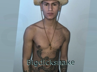 Bigdicksnake