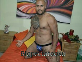 Bigpectatooxu