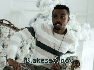 Blakesexyboy