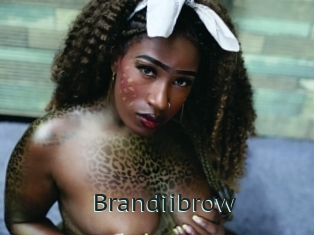 Brandiibrow