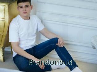 Brandonbud