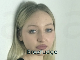 Breefudge