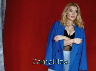 Camelliza