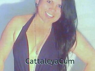 CattaleyaCum