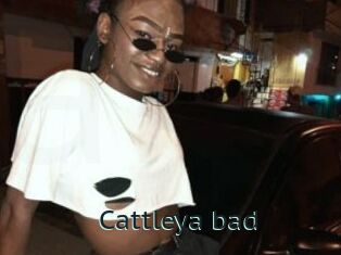 Cattleya_bad