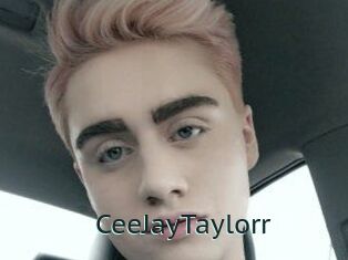CeeJayTaylorr
