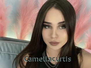 Cameliacurtis