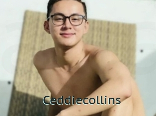 Ceddiecollins