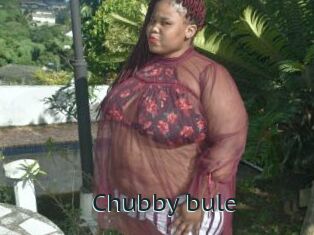 Chubby_bule