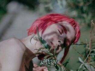 Citty