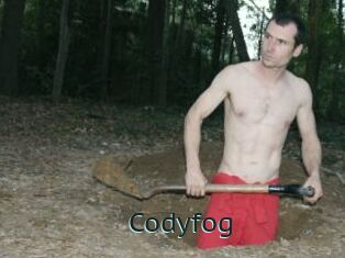 Codyfog