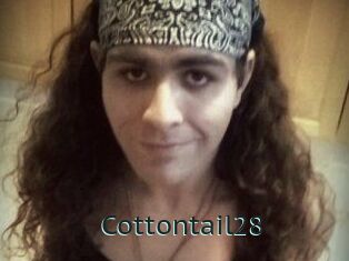 Cottontail28