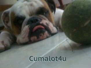 Cumalot4u