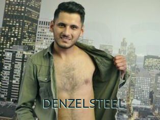DENZELSTEEL