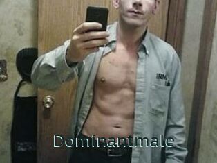 Dominantmale