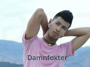 Damnfoxter