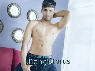 Daneil_torus