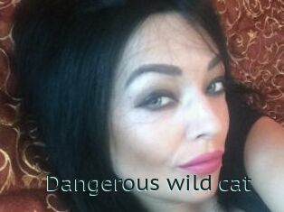 Dangerous_wild_cat