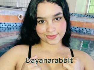Dayanarabbit