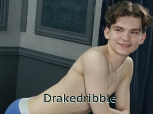 Drakedribble
