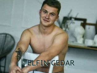 ELFIN_CEDAR