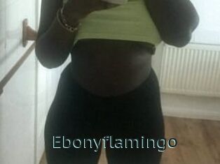 Ebony_flamingo