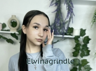 Elvinagrindle