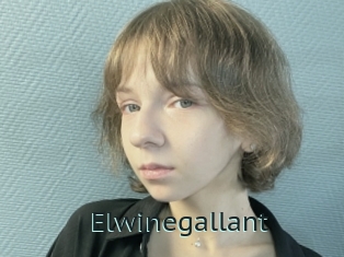 Elwinegallant