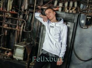 Felixburt