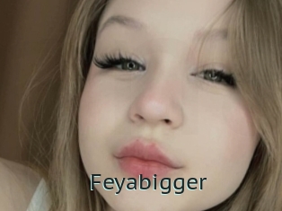 Feyabigger