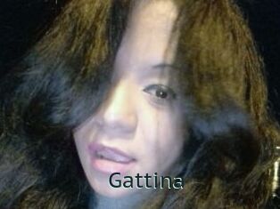 Gattina