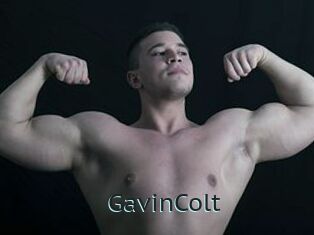 GavinColt